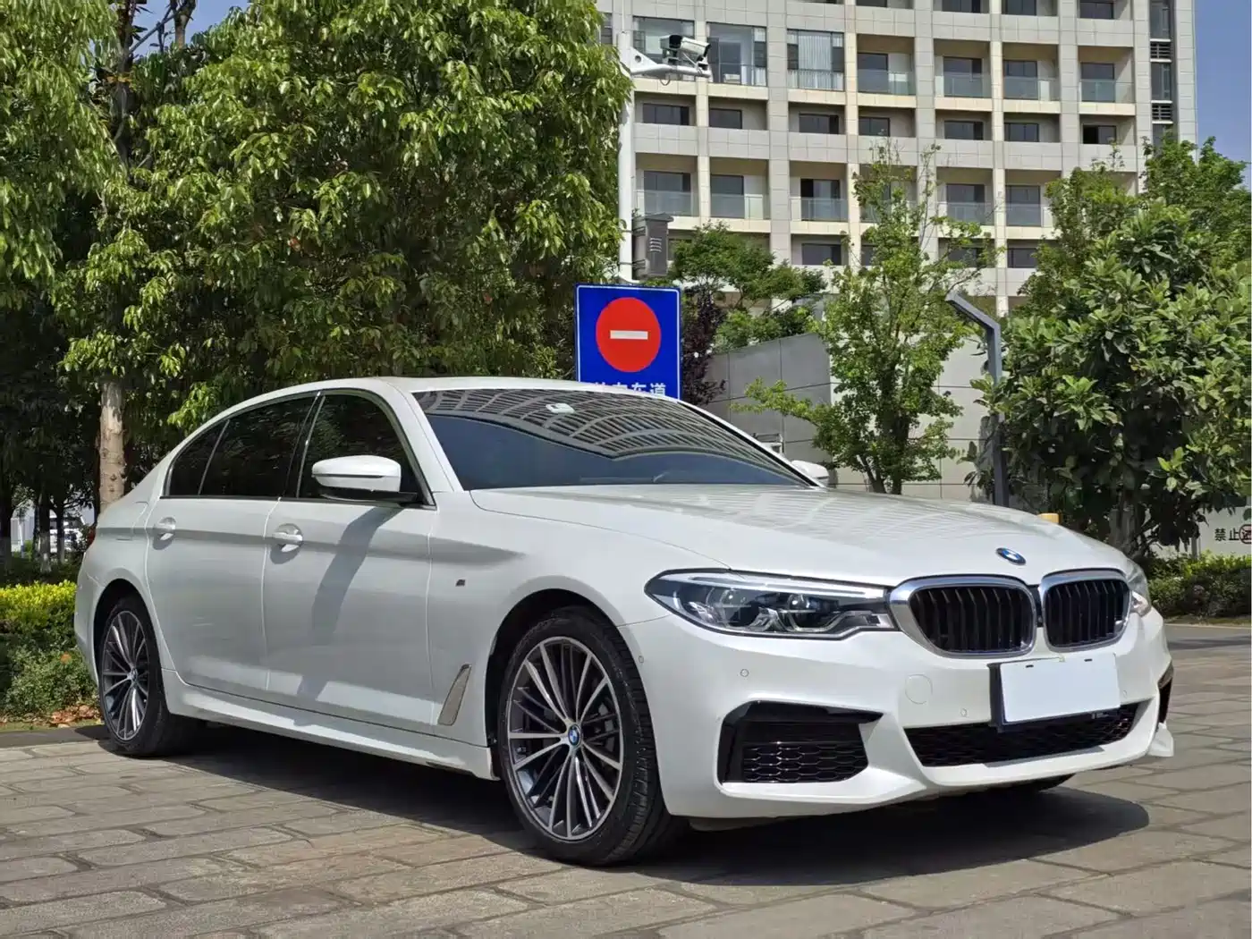 BMW 5 Series 2020 530Li Leading M Sport Package фото 2