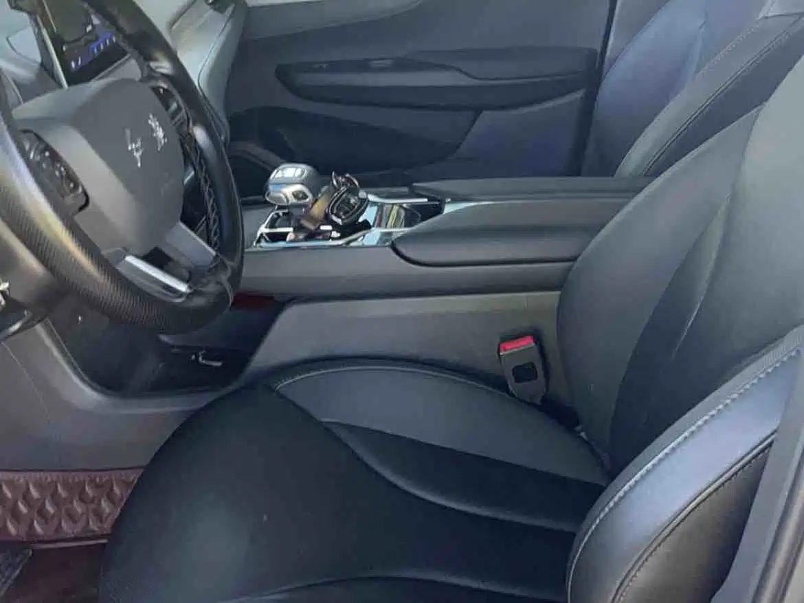 Hongqi E-QM5 2023 620km PLUS фото 5