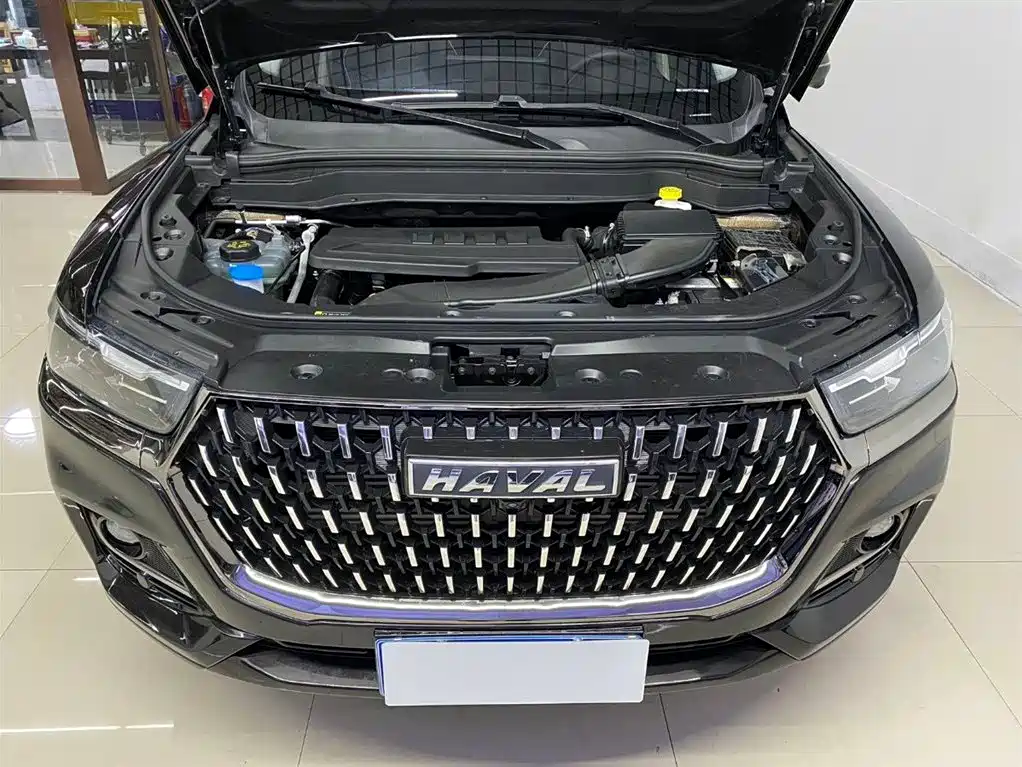 Haval H6 2023 National Trend Edition 1.5T Automatic Urban фото 13