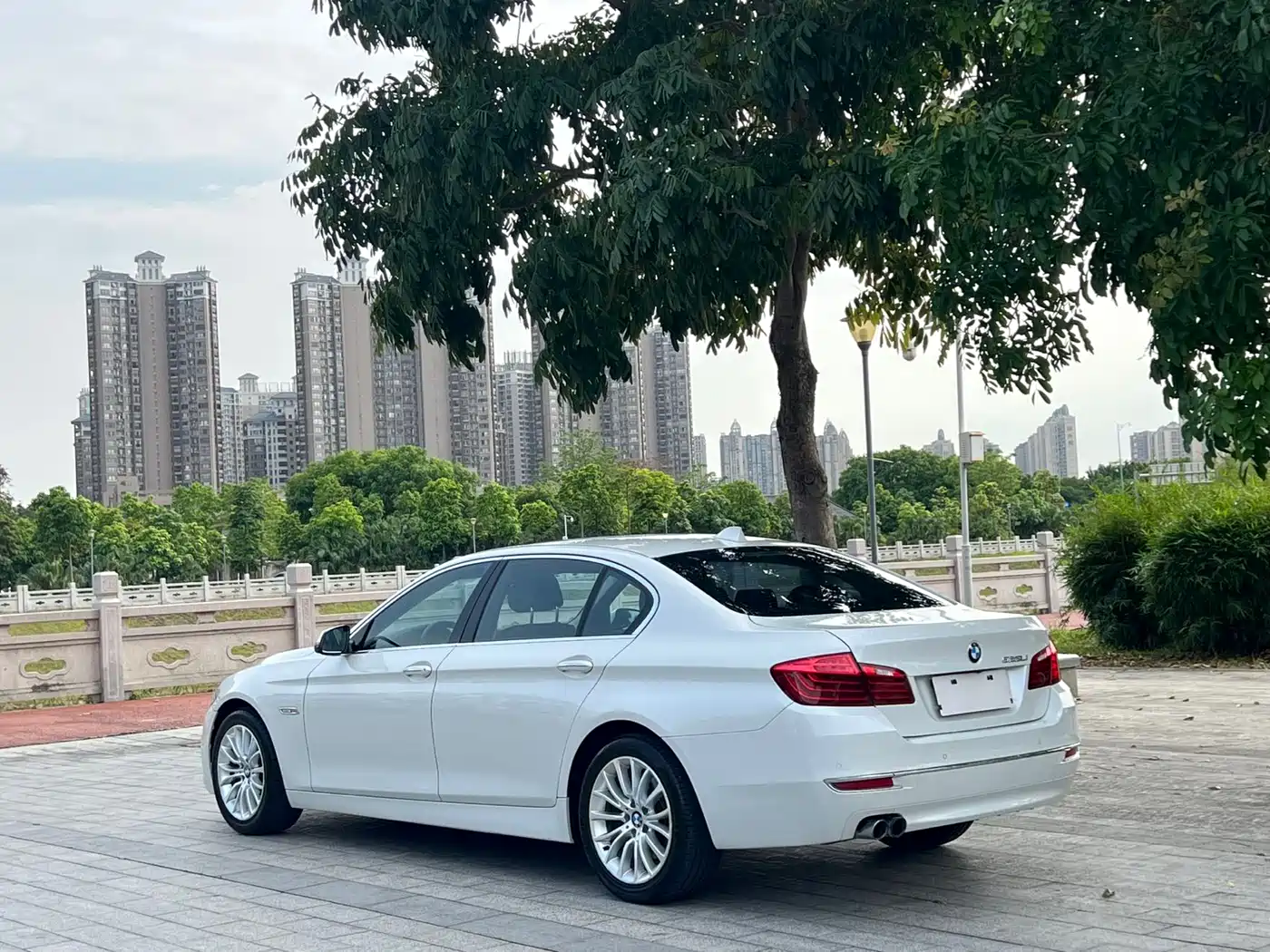 BMW 5 Series 2014 525Li Luxury Design Package фото 7