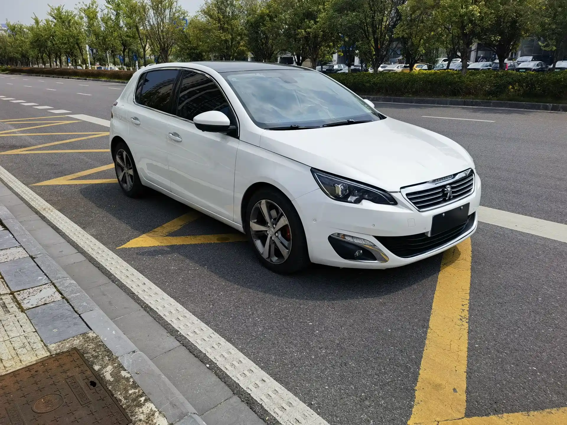 صورة 5 - Peugeot 308S