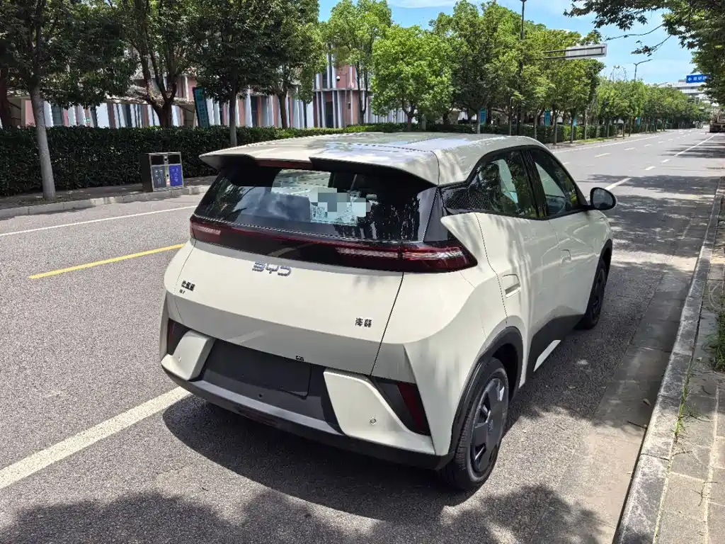 BYD Seagull 2026 2025 Smart Drive Edition 305km Vitality Version