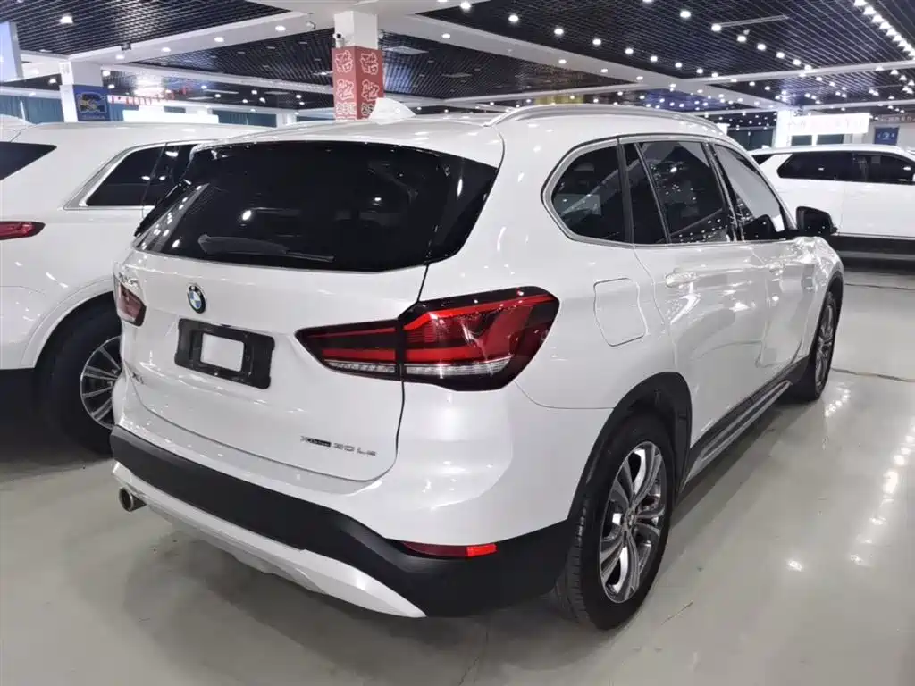 BMW X1 New Energy 2020 xDrive30Le Premium Edition фото 7