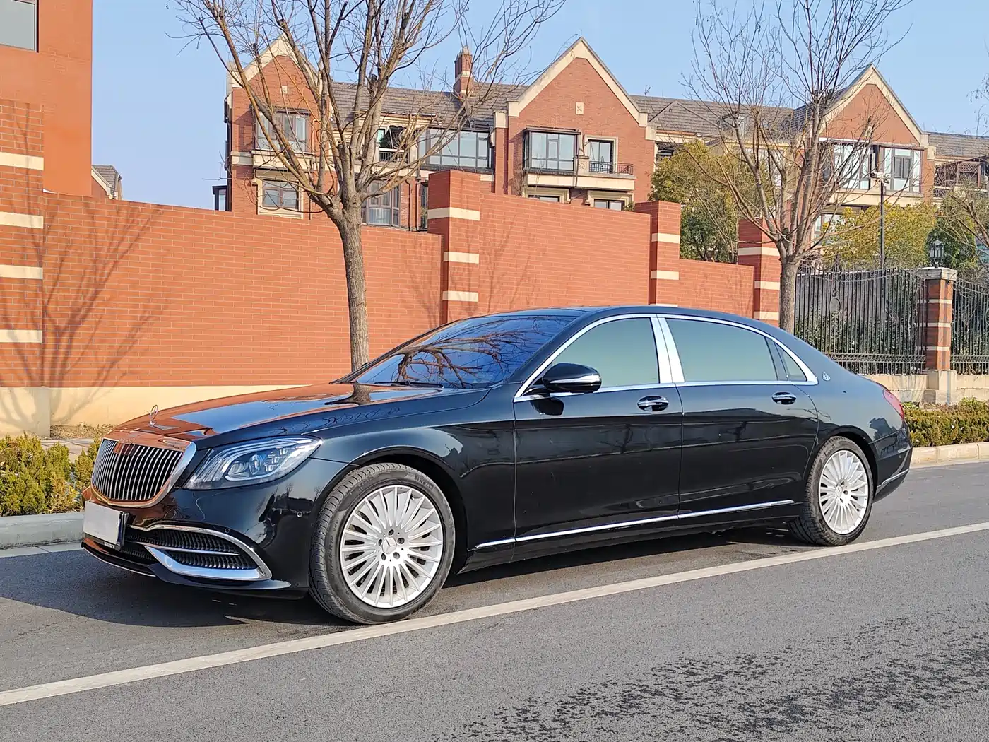 Mercedes-Benz Maybach S-Class 2019 S 450 4MATIC фото 13