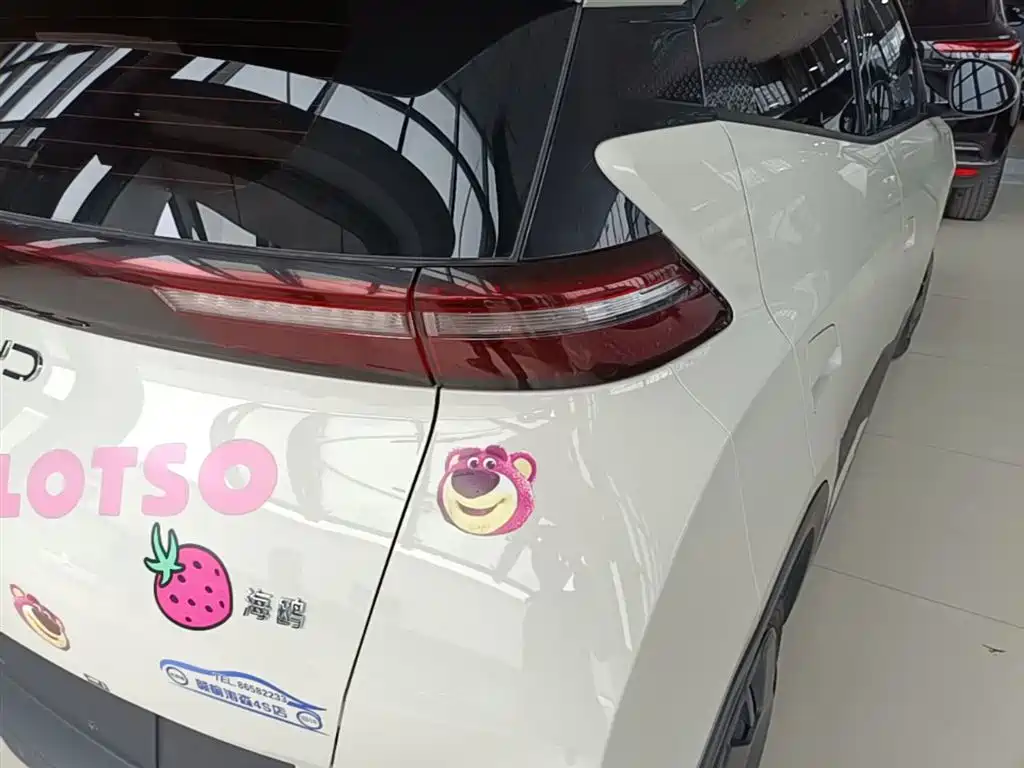 BYD Seagull 2025 305km Vitality фото 24