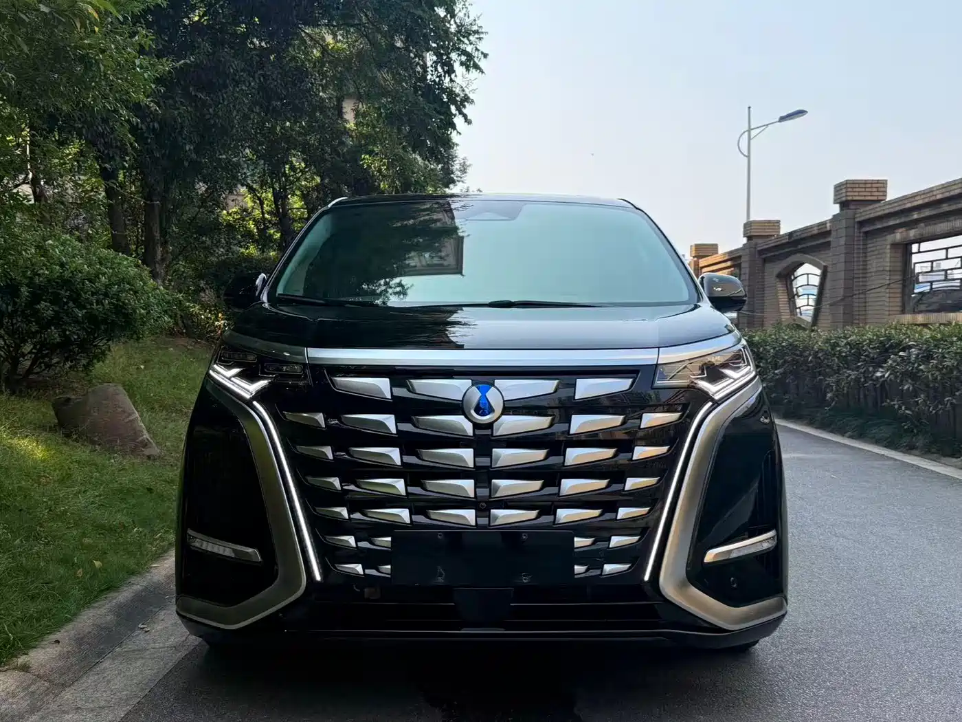 Denza Denza D9 2022 DM-i 970 AWD Flagship