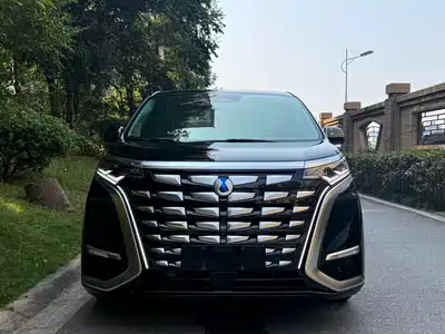 Denza D9