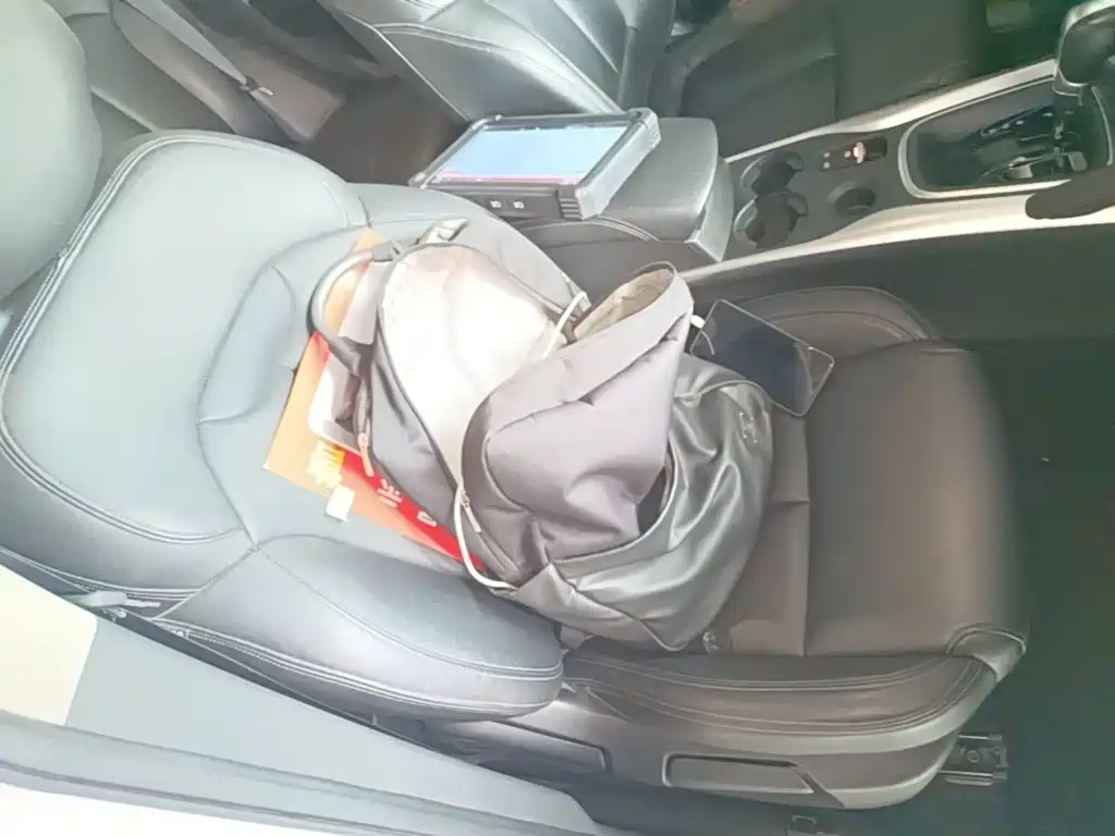 Renault Kadjar 2018 2017 2.0L 2WD Leading Edition