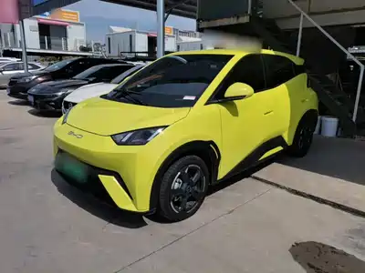 BYD Seagull