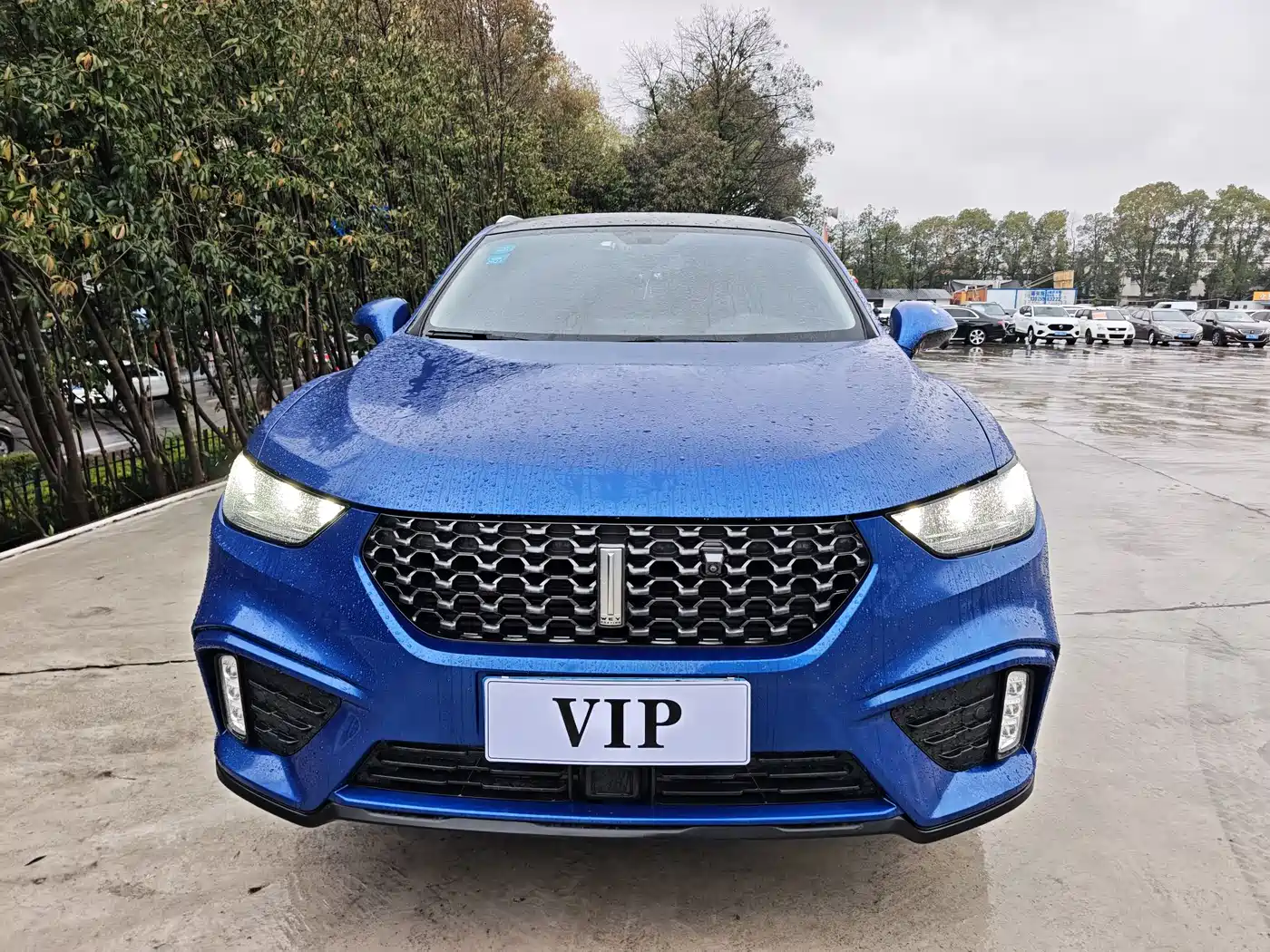 WEI PAI WEI BRAND VV5