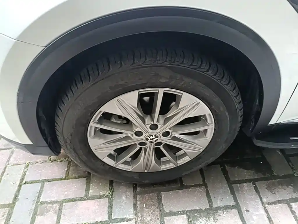 Venucia Star 2020 2020 260T Automatic 48V Mild Hybrid Turbo Star Enjoy Edition