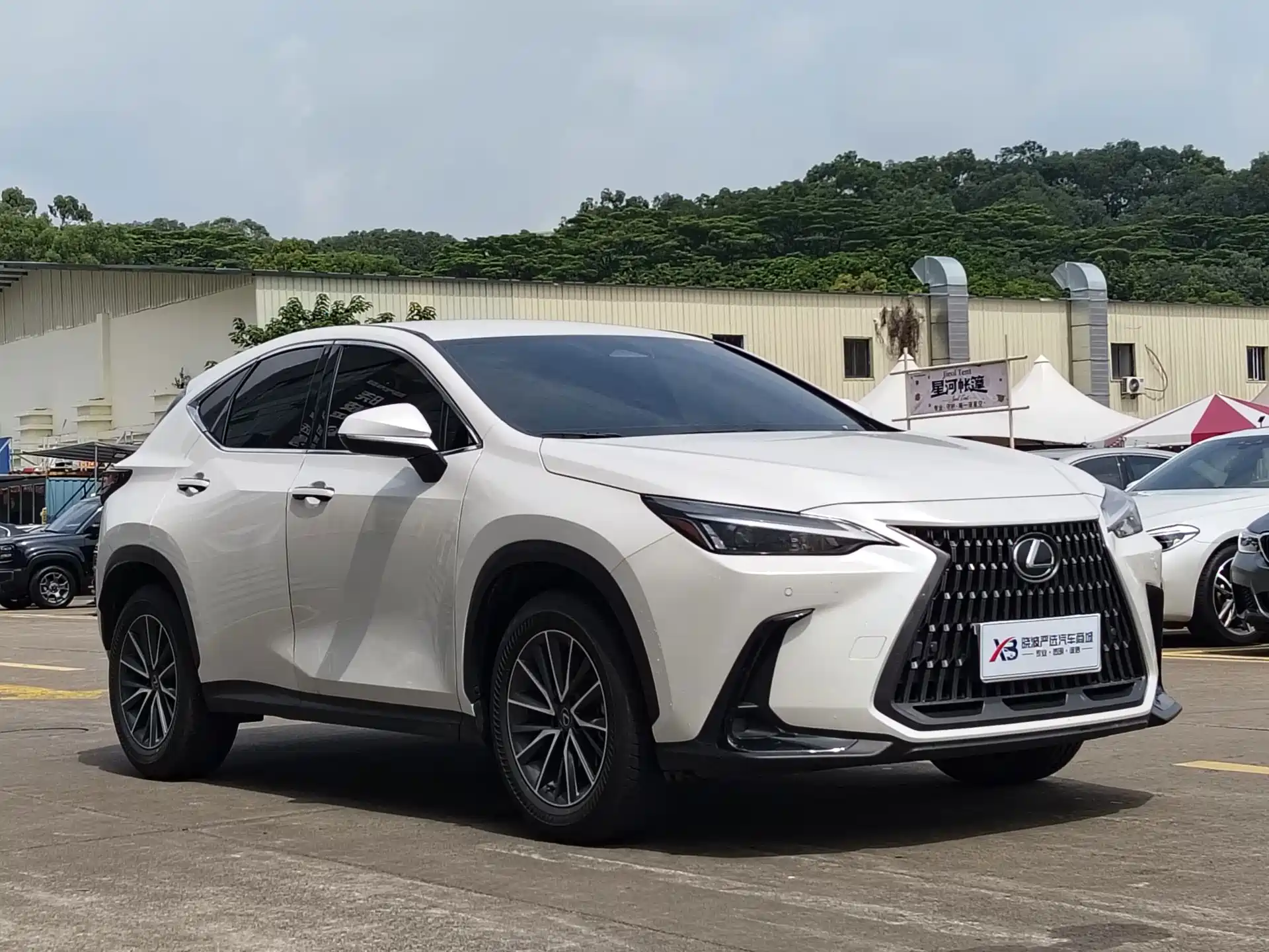 Фото 2 - Lexus NX