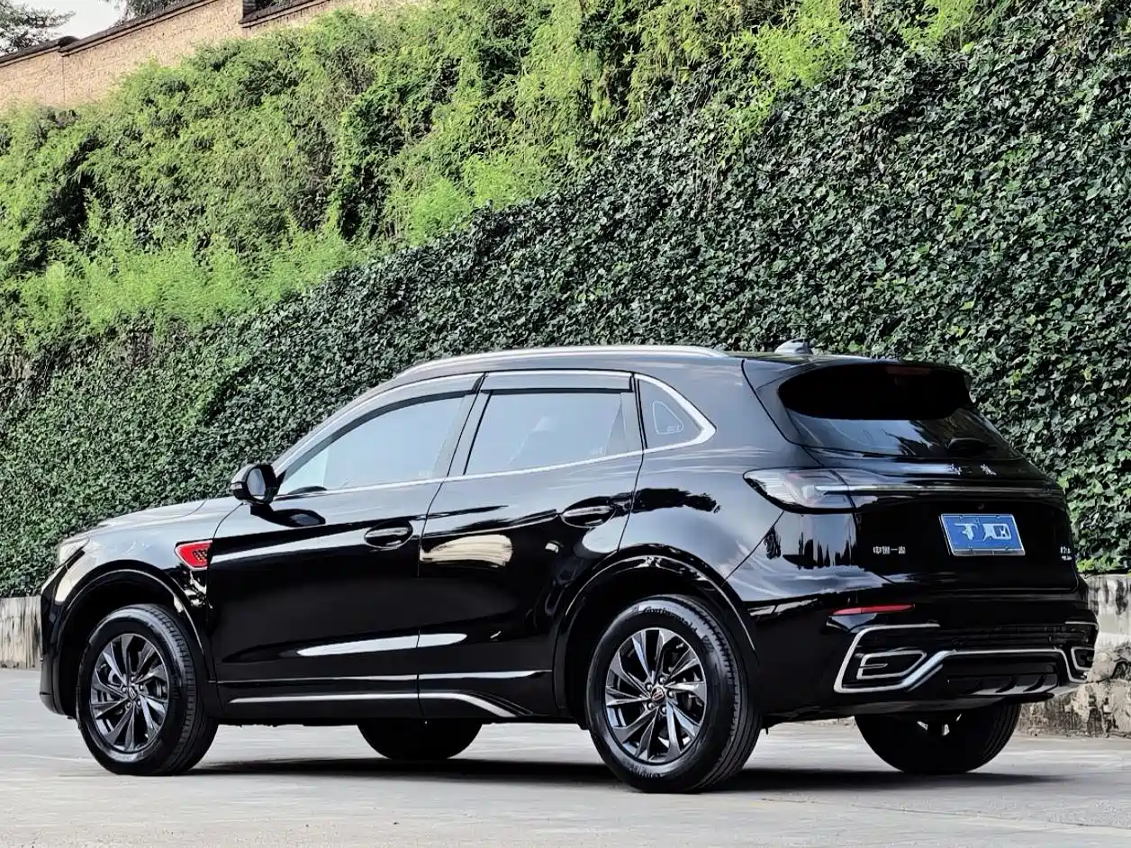Hongqi HS5 2023 2.0T Flag Enjoy Pro Edition фото 13