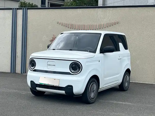 Geely Galaxy Panda 2024