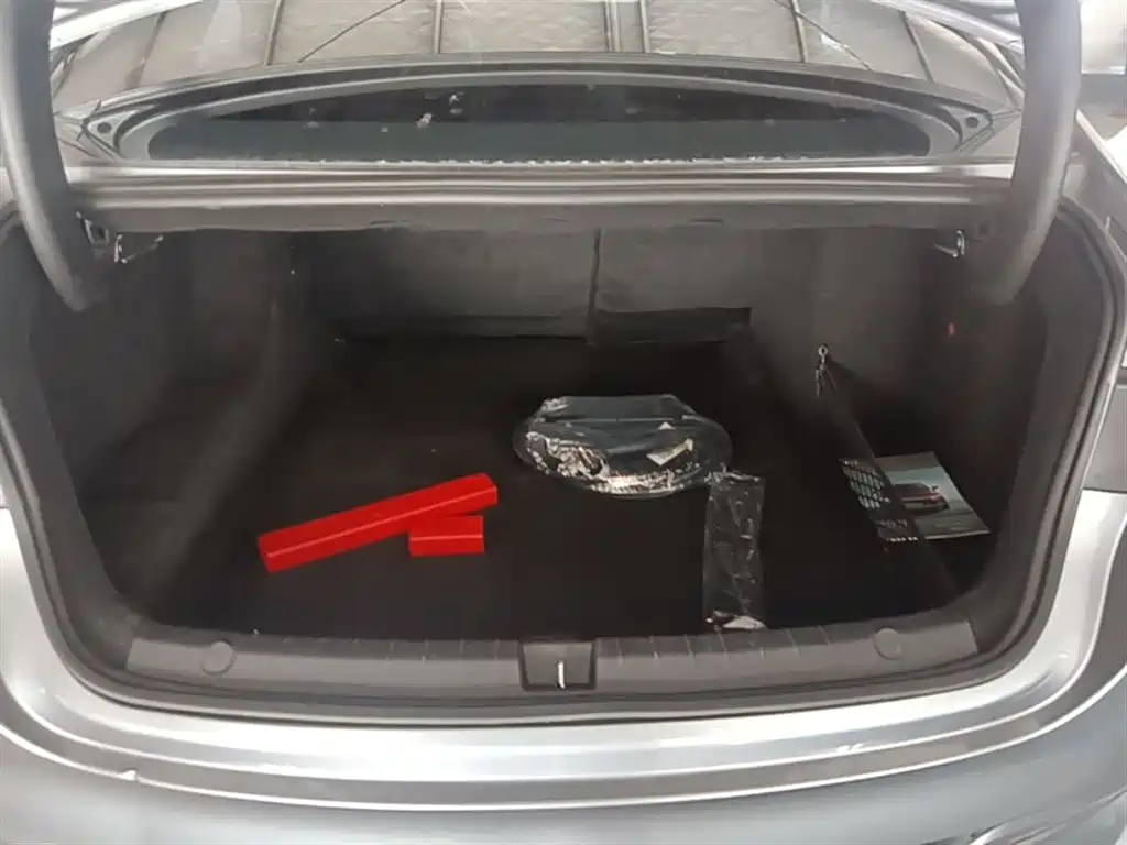 BYD Qin PLUS 2023 Champion Edition DM-i 120KM Excellence фото 19