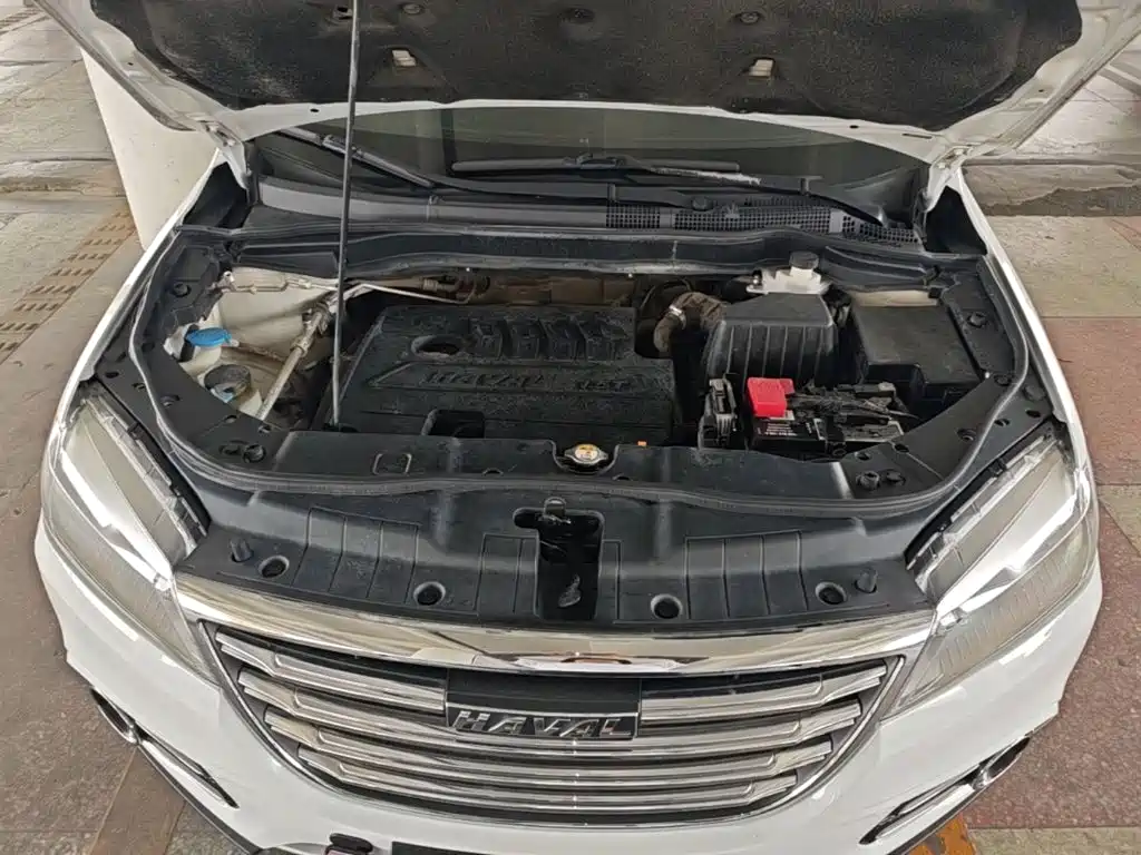صورة 20 - Haval H6