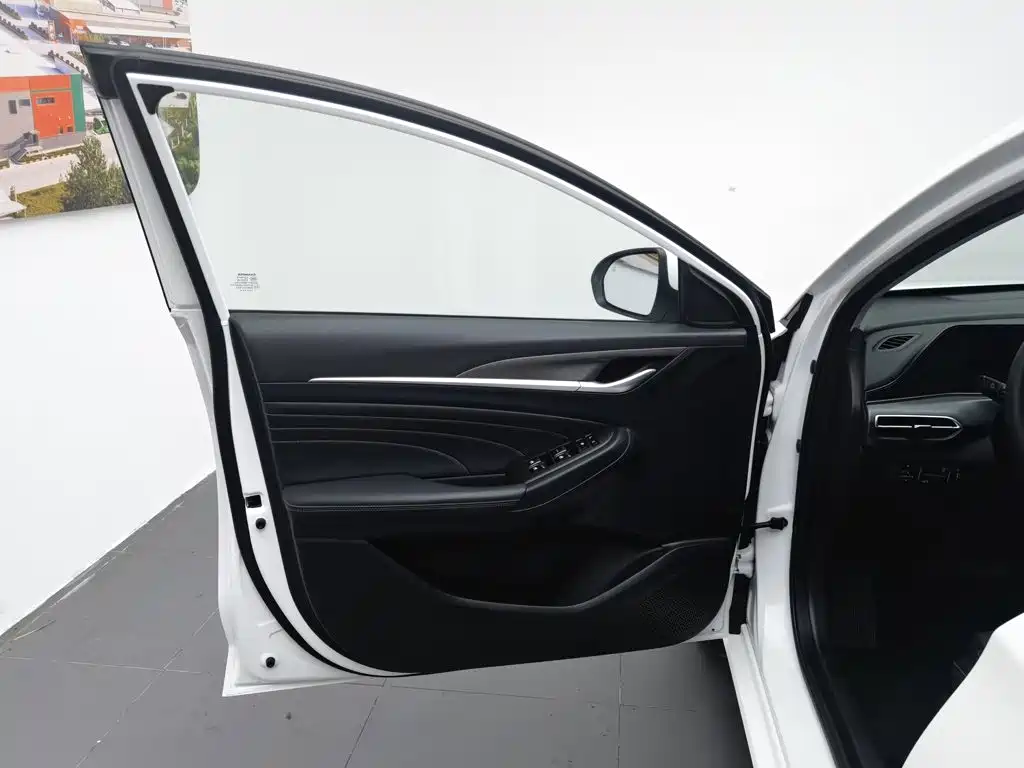 Photo 8 - Changan Eado