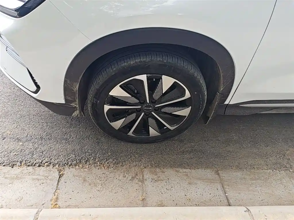 BYD Song PLUS PHEV 2025 DM-i 112KM Honor фото 22