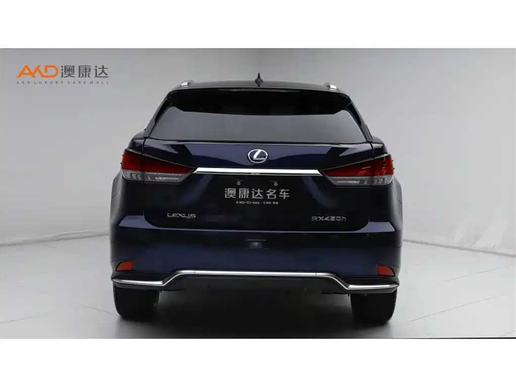 Lexus RX 2020 450h 4WD Elegance Edition China VI фото 4