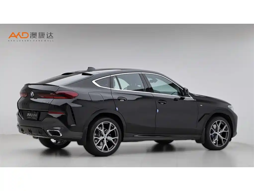 BMW X6 2021 Facelift xDrive40i Premium M Sport Package фото 3