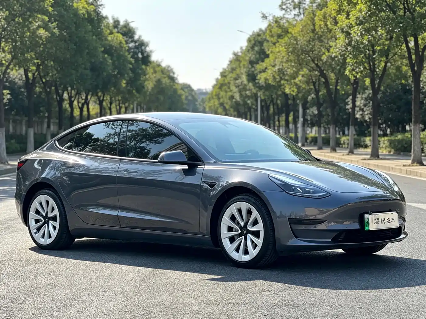 Фото 3 - Tesla Model 3
