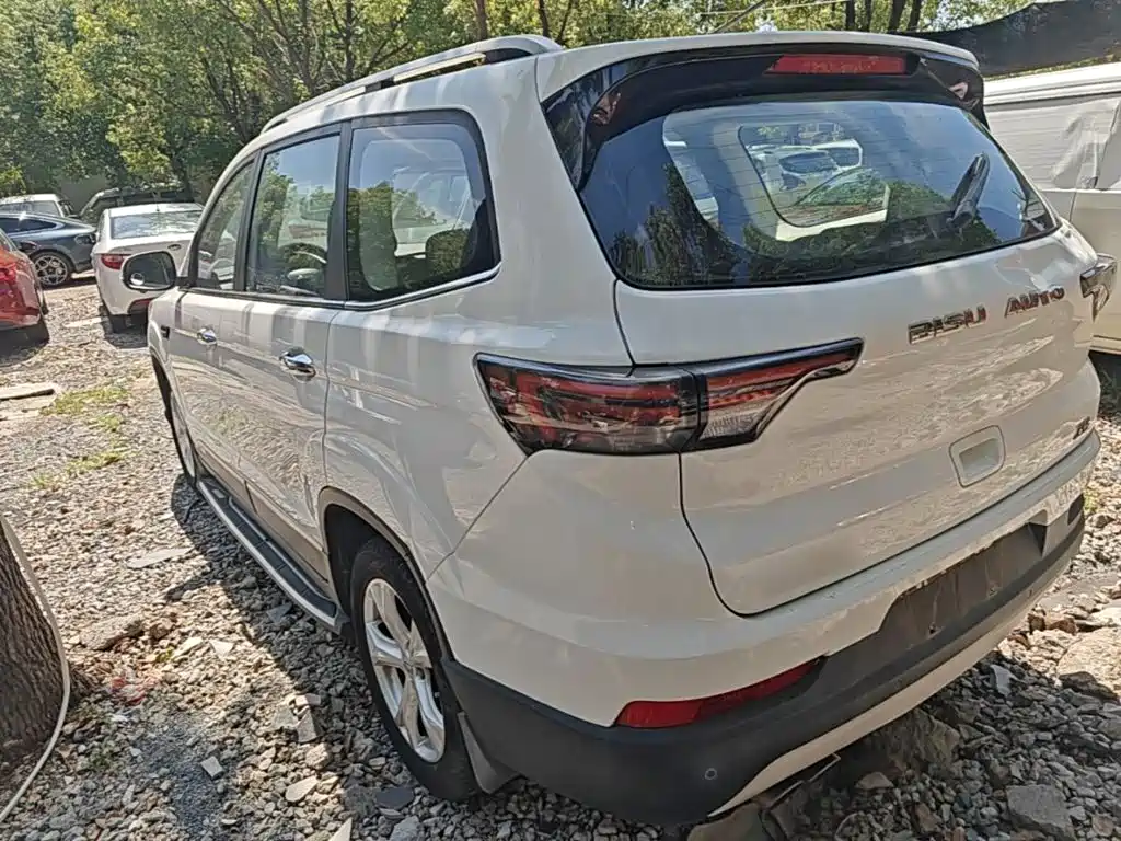 Bisu Auto Bisu T5 2017 2017 1.5T Manual Luxury