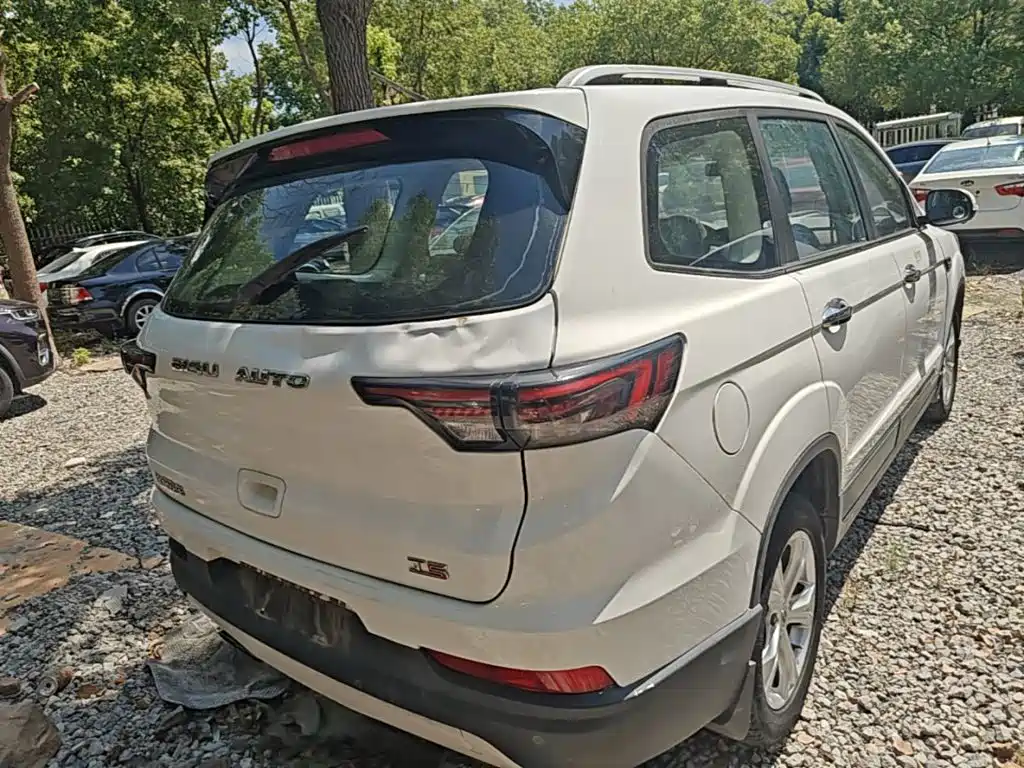 Bisu Auto Bisu T5 2017 2017 1.5T Manual Luxury