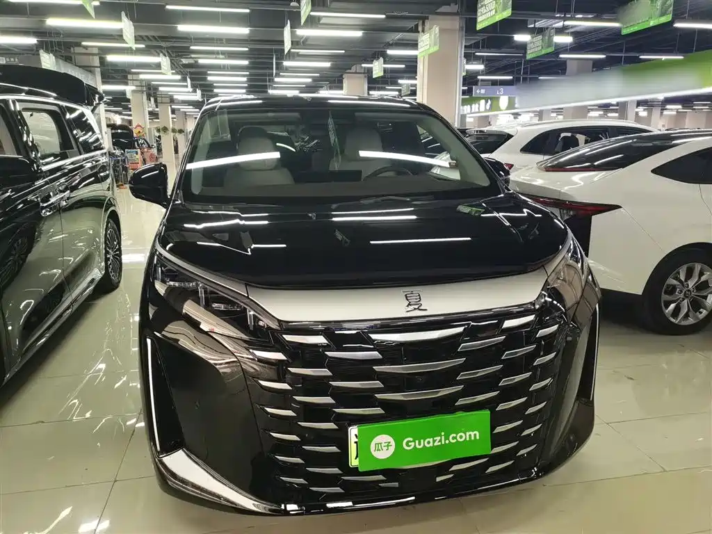 BYD Xia 2025 DM-i 1.5T 180km Surpass Edition фото 3