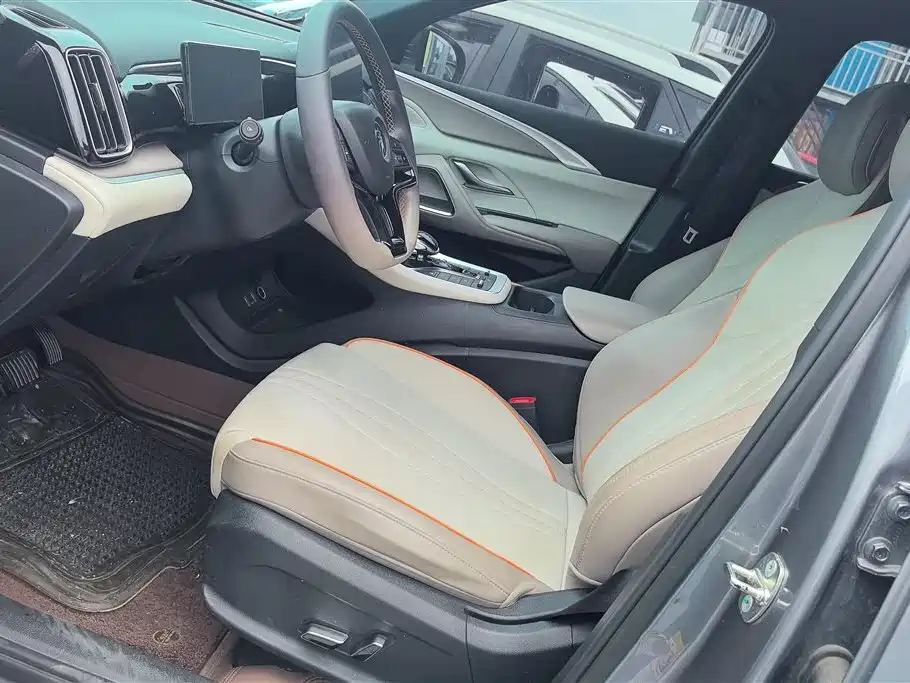 BYD Song Pro New Energy 2024 Glory Edition DM-i 110KM Excellence фото 9