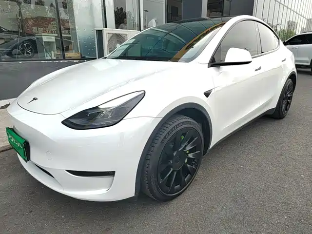 Tesla Model Y Увеличенный запас хода, полный привод