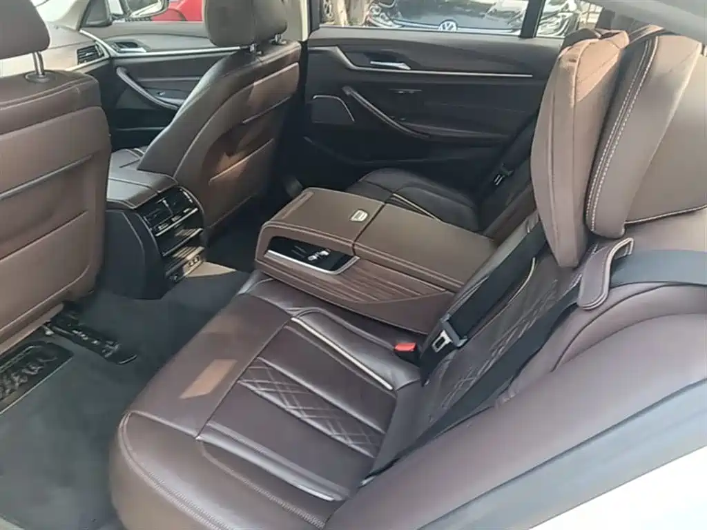 BMW 5 Series New Energy 2020 530Le Luxury Package фото 17