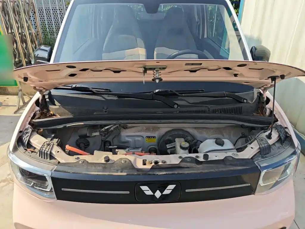 Фото 20 - Wuling Motors Hongguang MINIEV
