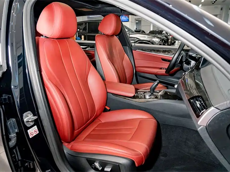 BMW 5 Series 2019 530Li Leading M Sport Package фото 19