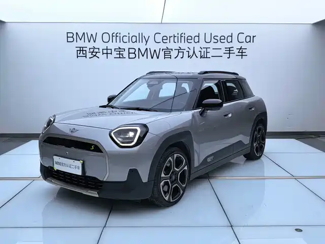 Mini Electric Aceman SE, Артист