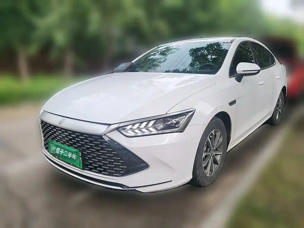 BYD Qin PLUS 2024 Glory Edition DM-i 55KM Leading