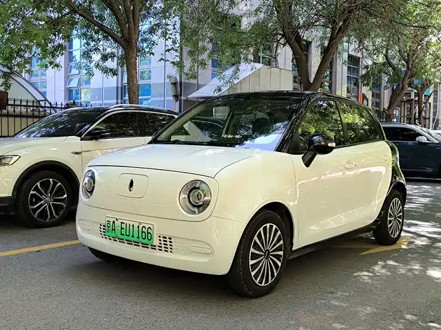  Ora Ora Black Cat 2019 Model 351km Smart Fun Edition