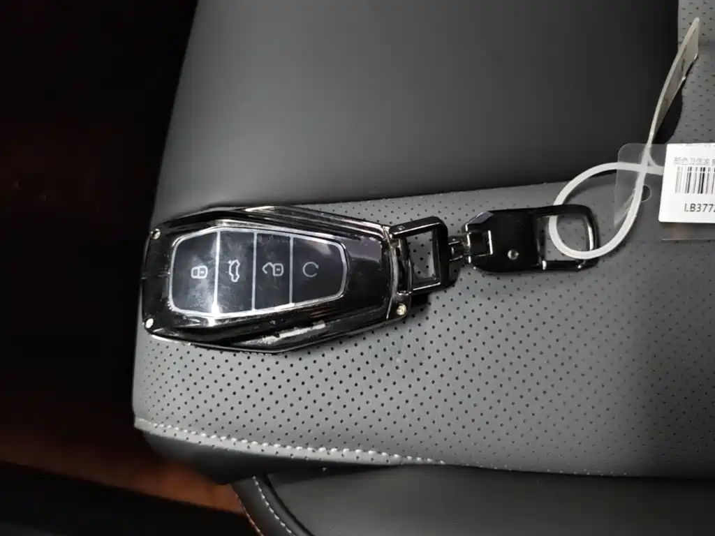 Photo 9 - Geely Atlas