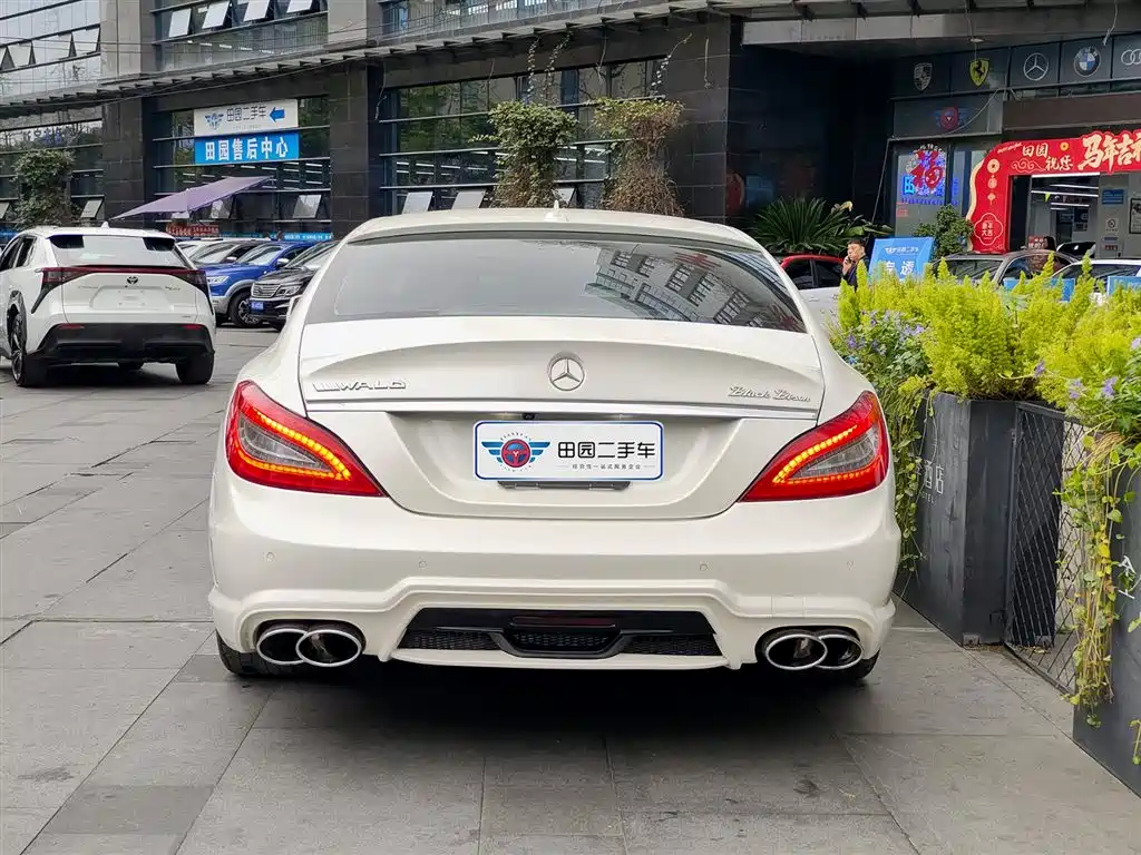 Mercedes-Benz CLS 2012 CLS 300 CGI фото 5