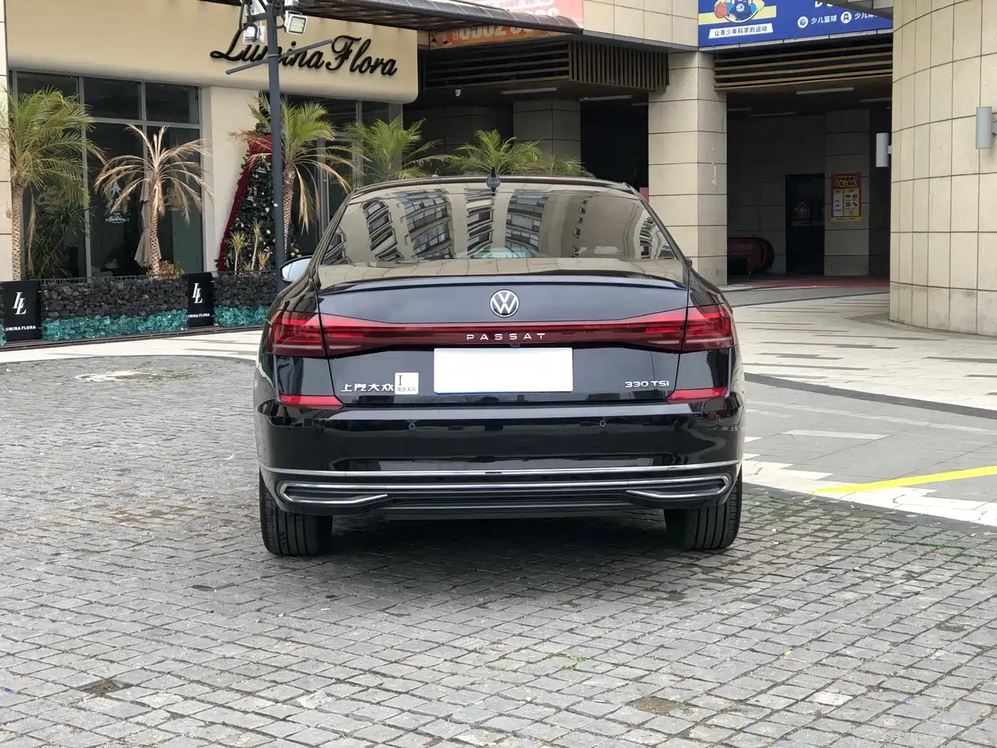  PASSAT