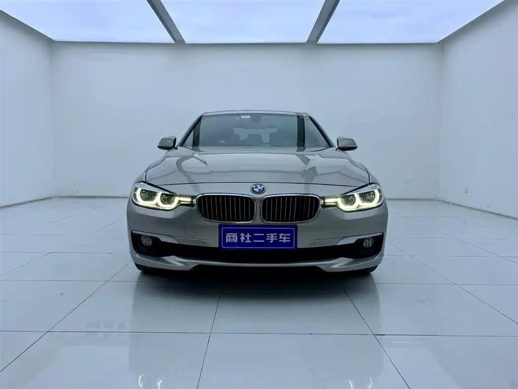 BMW 3 Series 2018 318Li фото 2