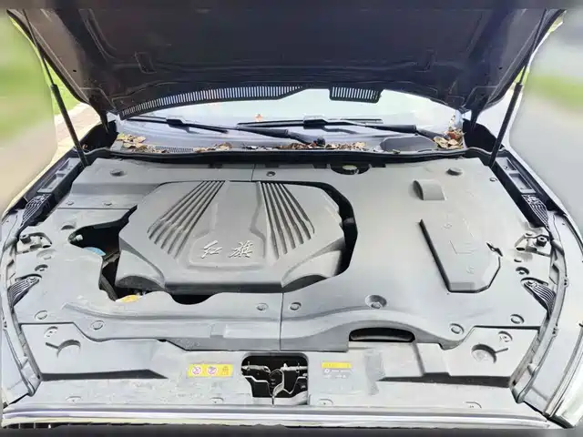 Hongqi H5 2019 30TD Smart Connect Rhythm Edition — фото 3