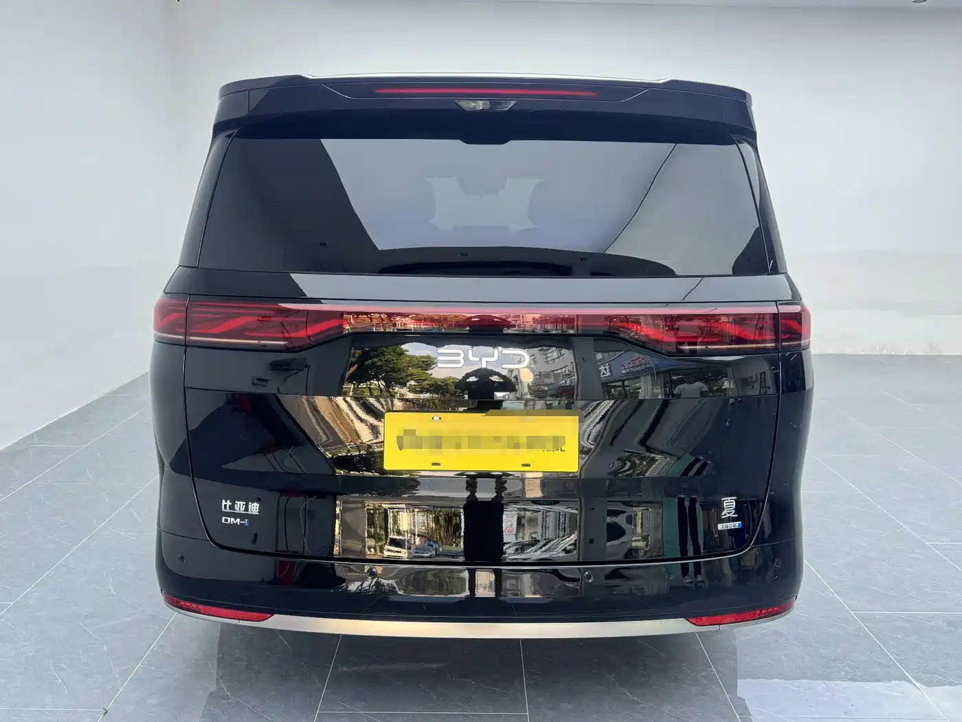 BYD Xia 2025 DM-i 1.5T 100km Surpass Edition фото 5