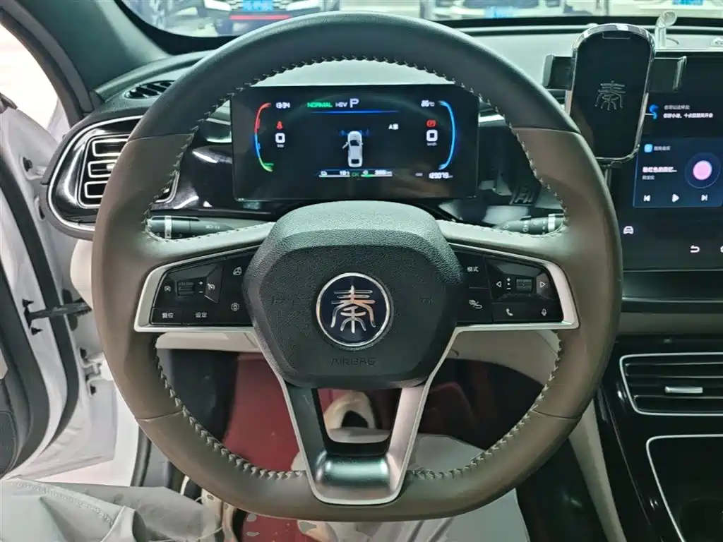 BYD Qin PLUS 2024 Glory Edition DM-i 120KM Surpass фото 11