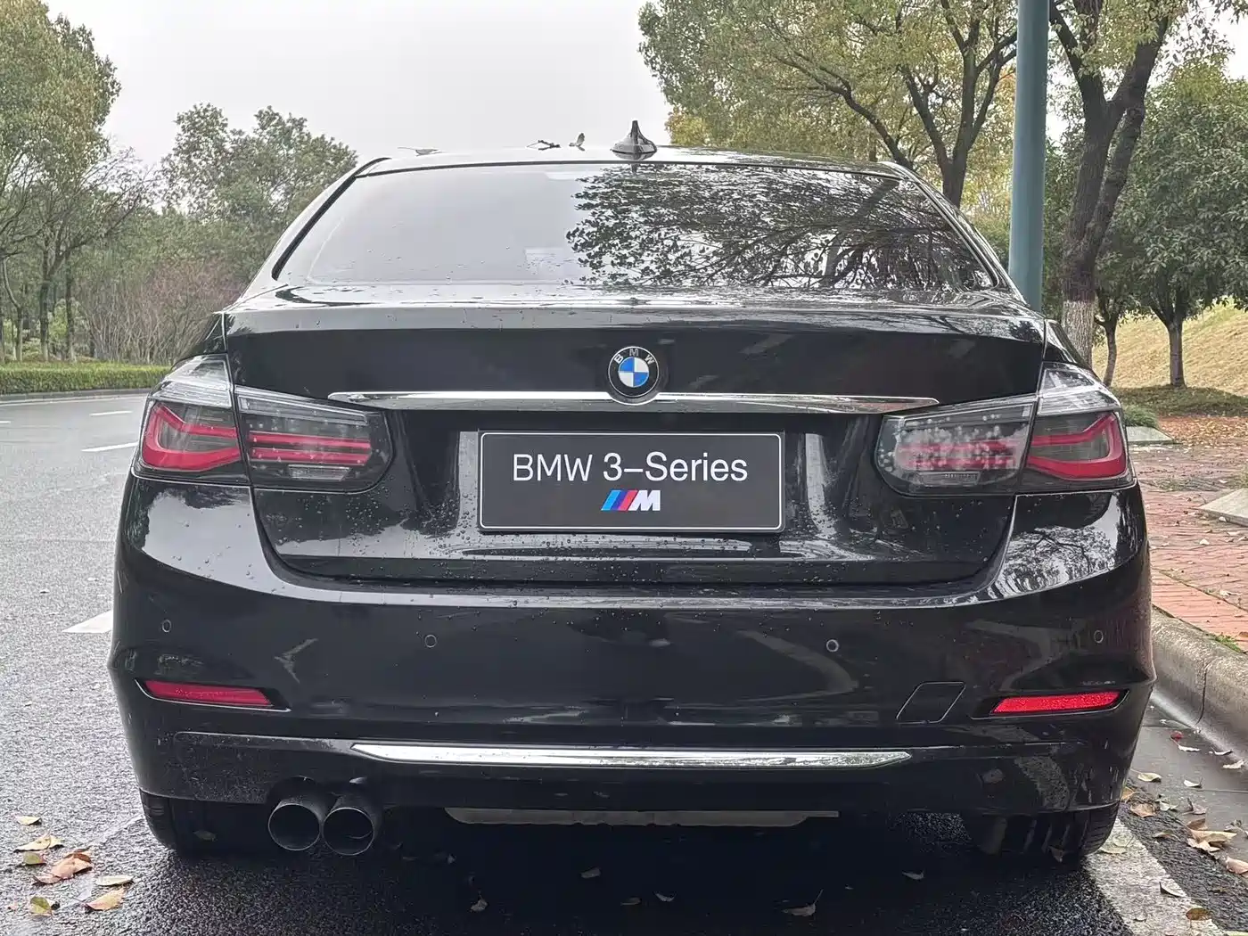 BMW 3 Series 2013 Facelift 320Li Luxury Design Package фото 8
