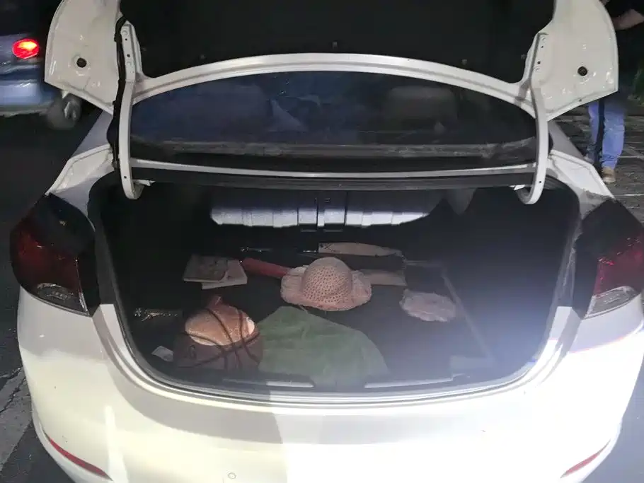 Hyundai Langdong 2015 2015 1.6L Auto Premium
