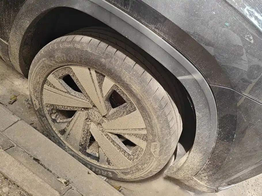 Фото 6 - Volkswagen Teramont