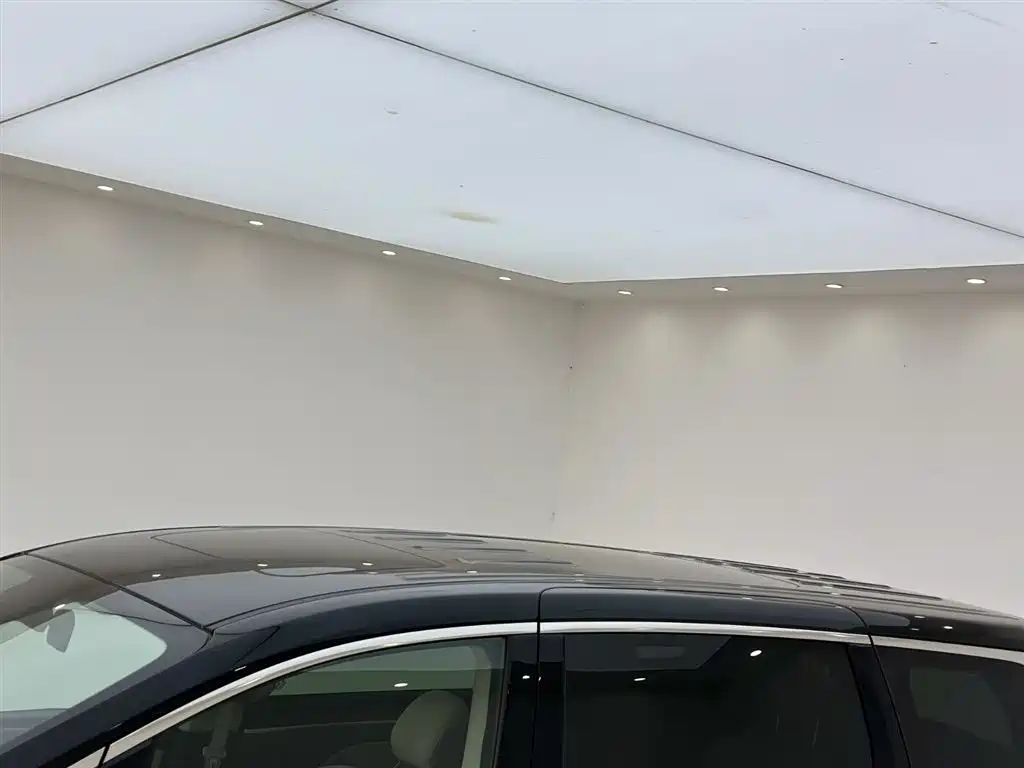 GAC Trumpchi Trumpchi M8 2021 Leading Show Series 390T Prestige Edition фото 22