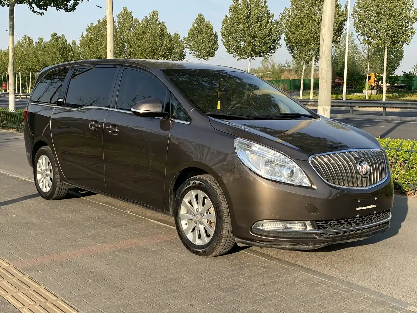 Buick GL8 2014 2.4L CT Luxury Business Comfort фото 2