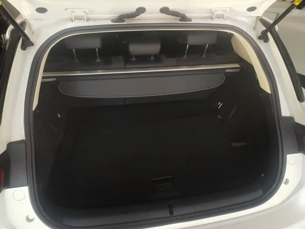 Lexus CT 2020 2017 CT200h Comfort Edition (Single Color) China VI