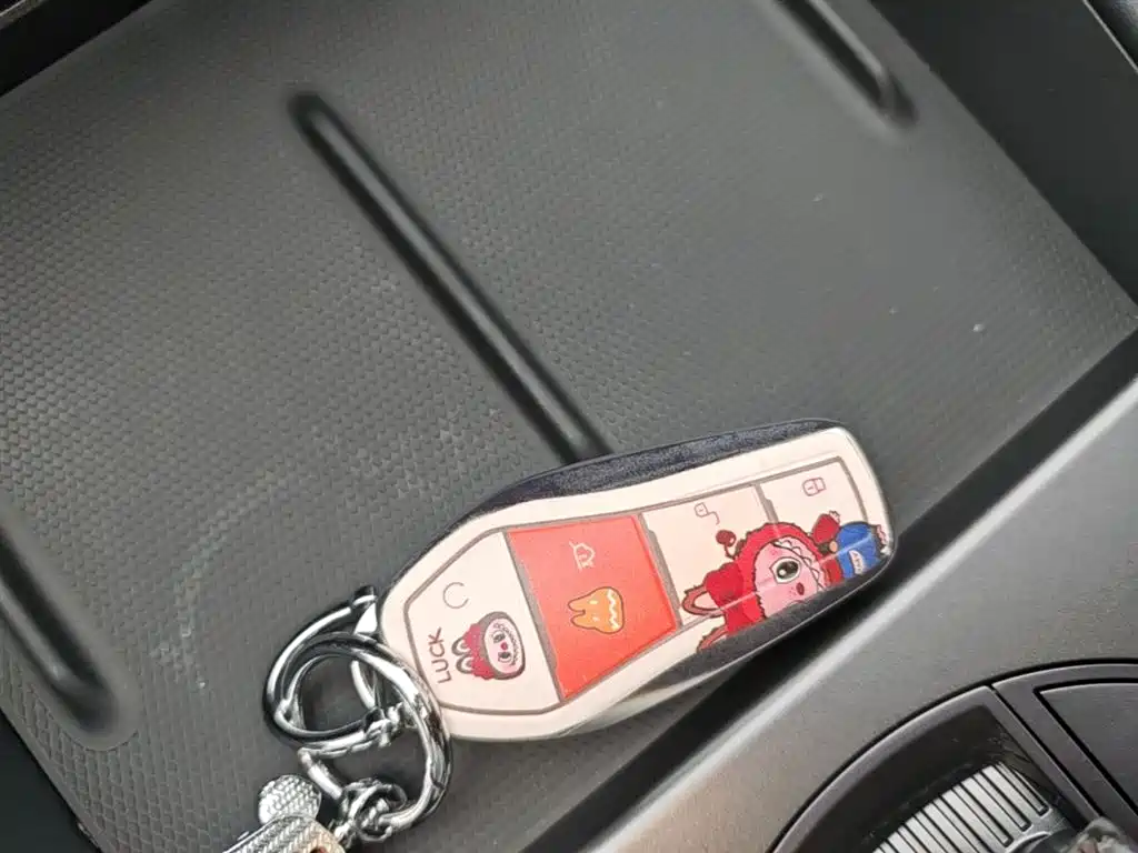 BYD Seal 06 New Energy 2024 DM-i 80KM Prestige фото 9